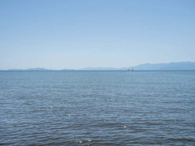 piwapic park kawase (46)