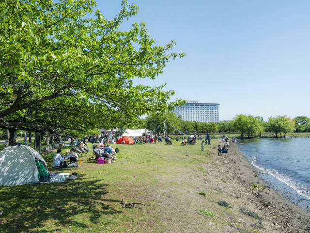 piwapic park kawase (47)